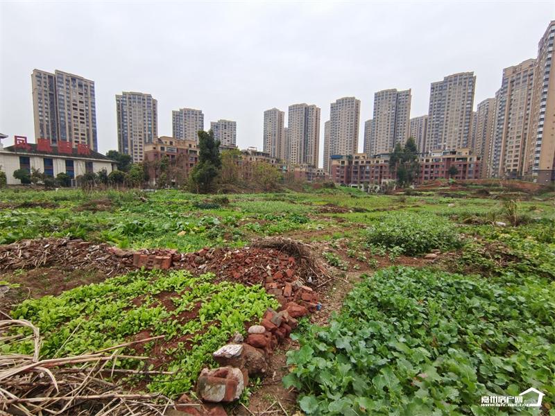 扒一扒那些年交过的智商税,一扒这些年我们听过的网络谣言