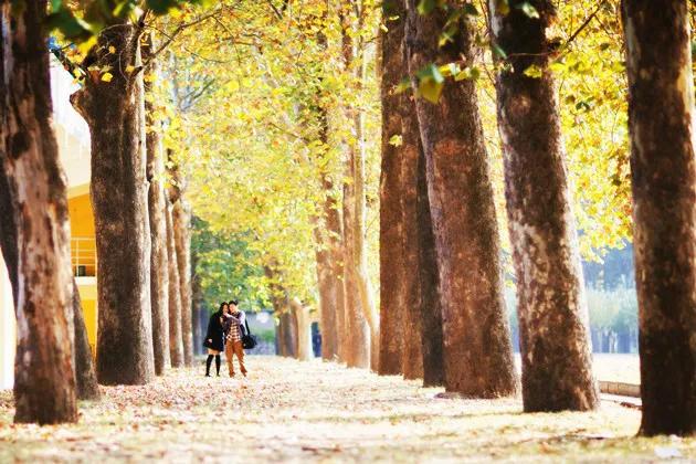 我，武汉IBM员工，为求婚创业，全款买独栋别墅，肠子都悔青了