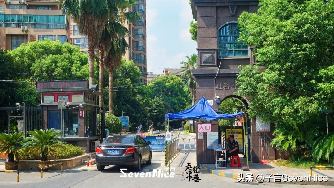 再遇紫阳街,再遇成华大道