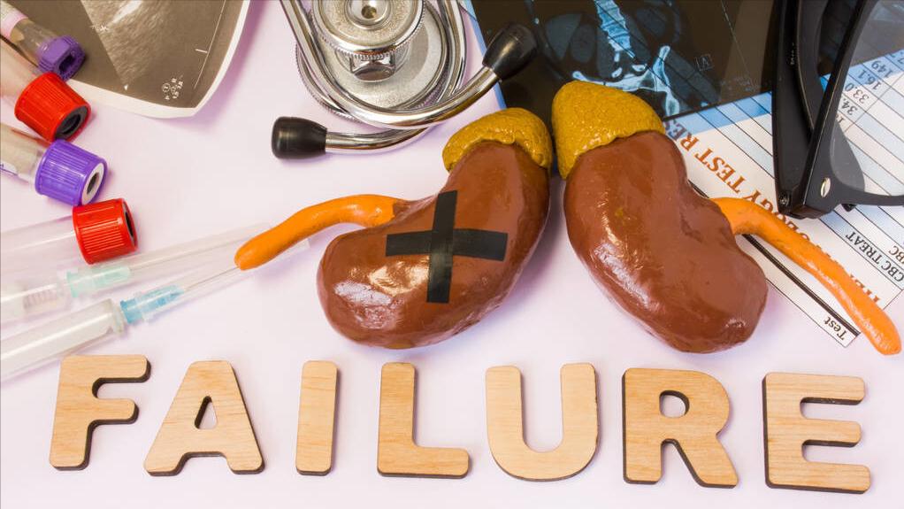 肾脏发出的预警信号你读懂了吗,肾的预警信号