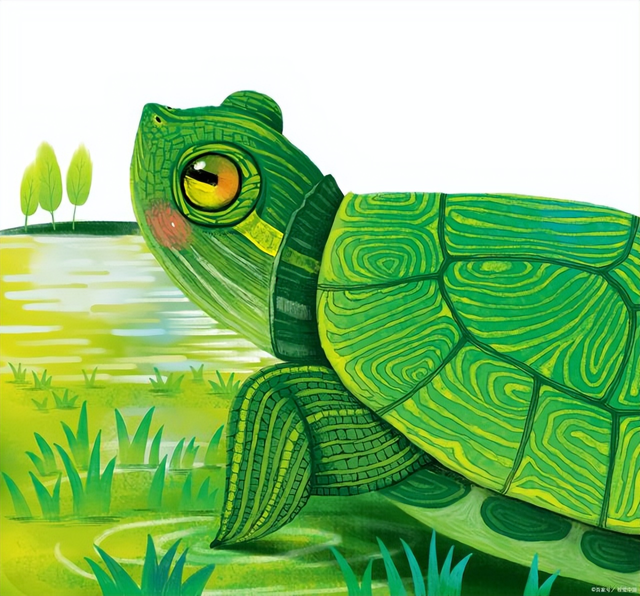 小学四年级习作步骤讲解,四年级下册写事作文写作技巧