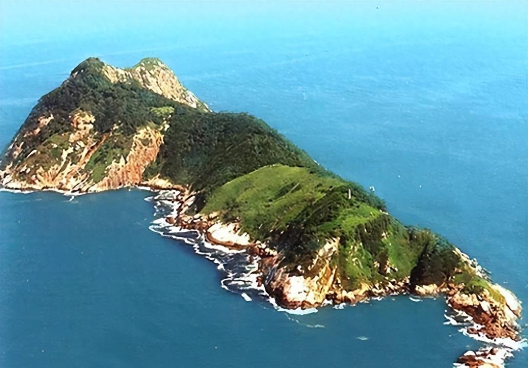 蛇岛生态链惊现老鼠吃蛇,2万条蛇成口粮引关注