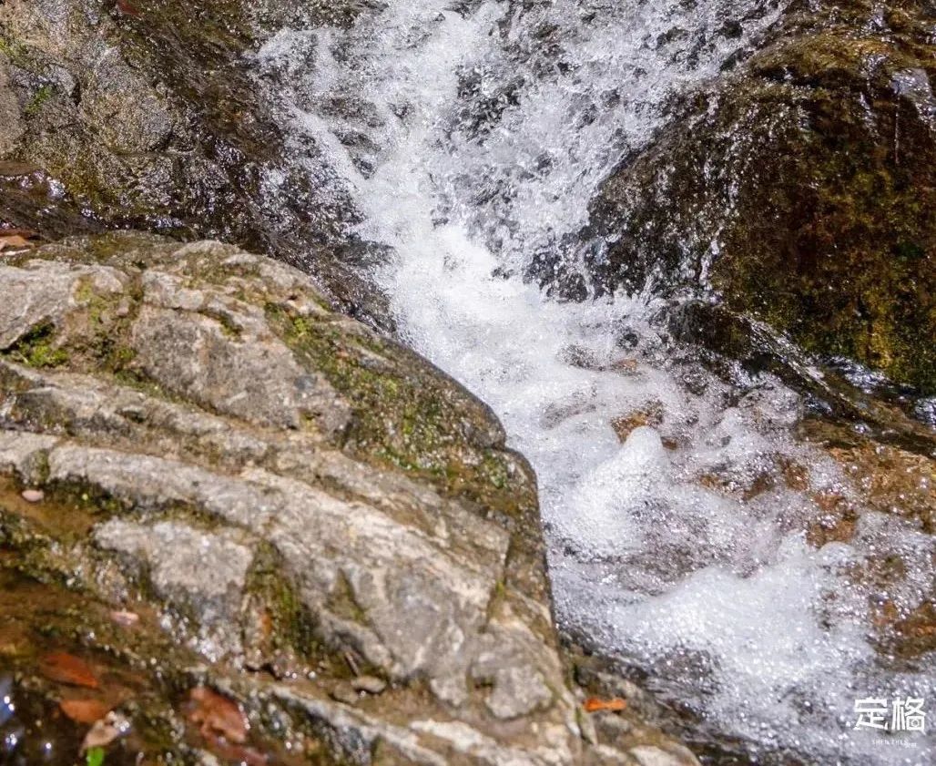 深圳罕见的避暑胜地,广东深圳避暑好去处