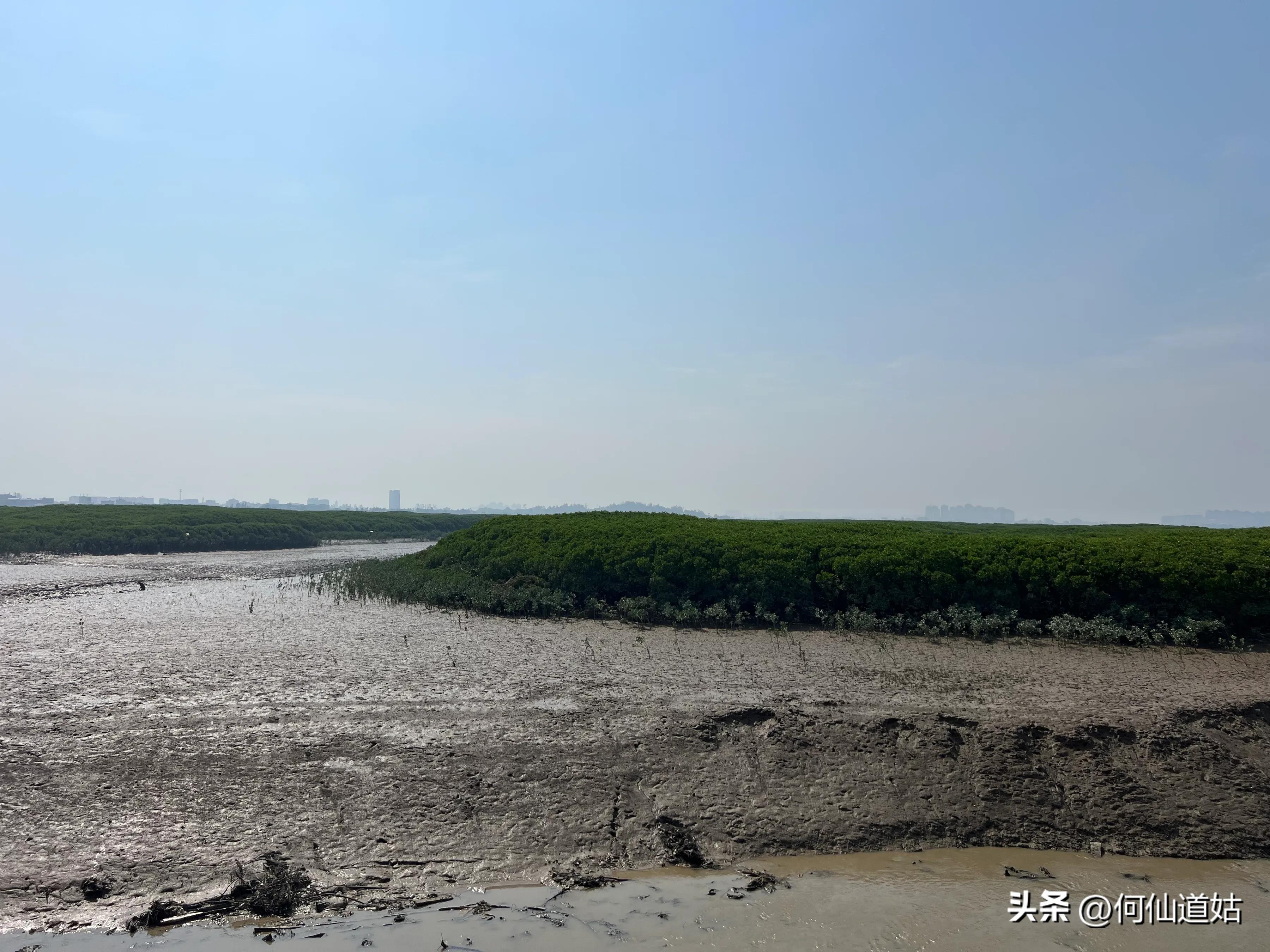 洛阳桥传说真实故事,洛阳桥泉州