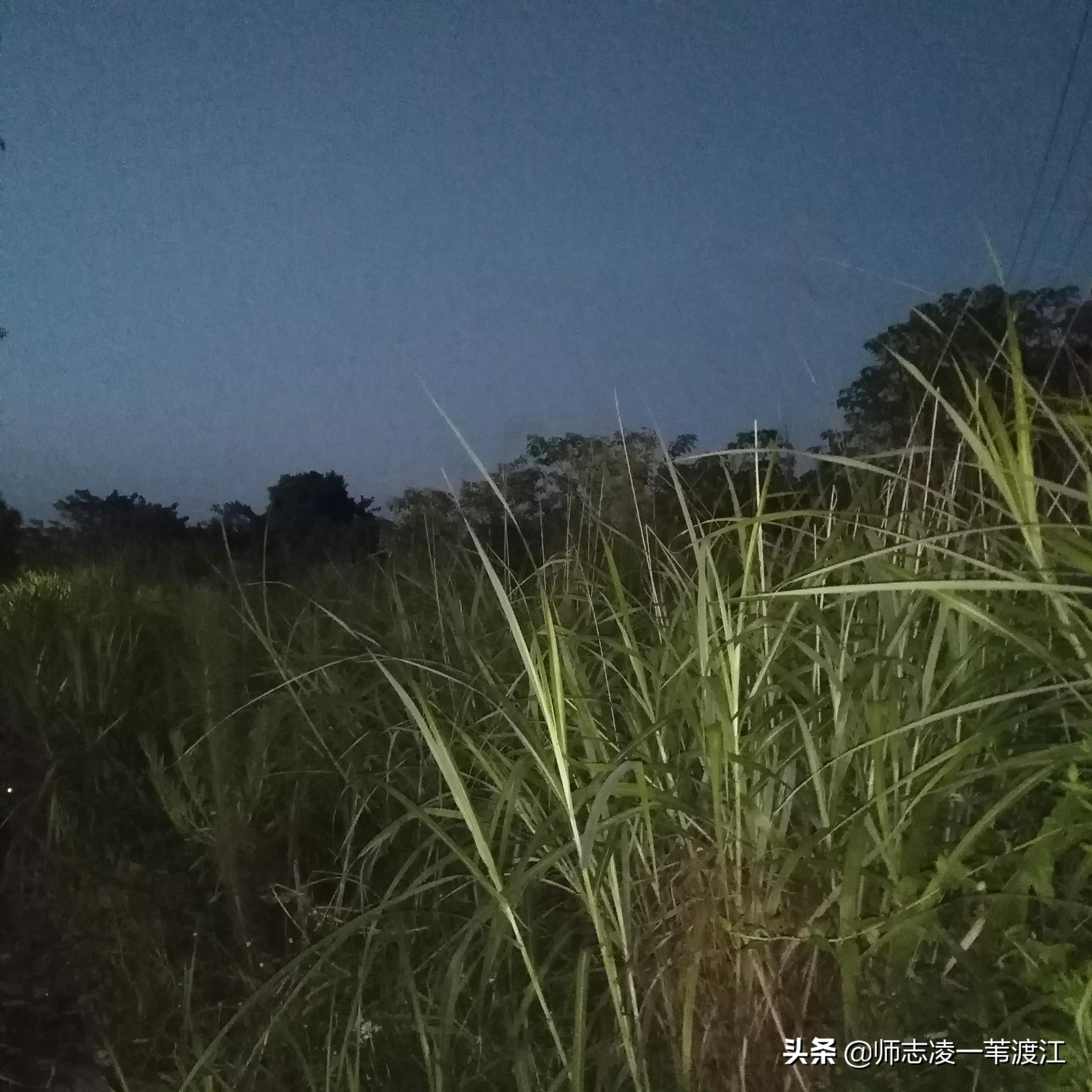 向神灵许愿,向神灵求救