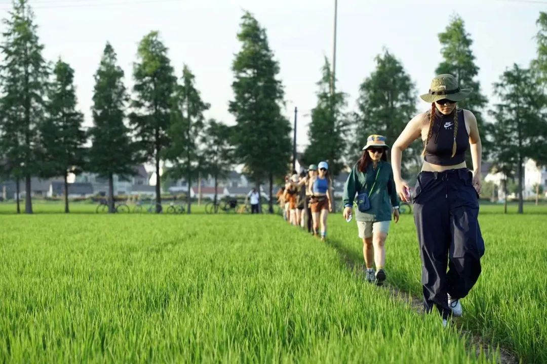 25年最挣钱的行业,25年自行车市场