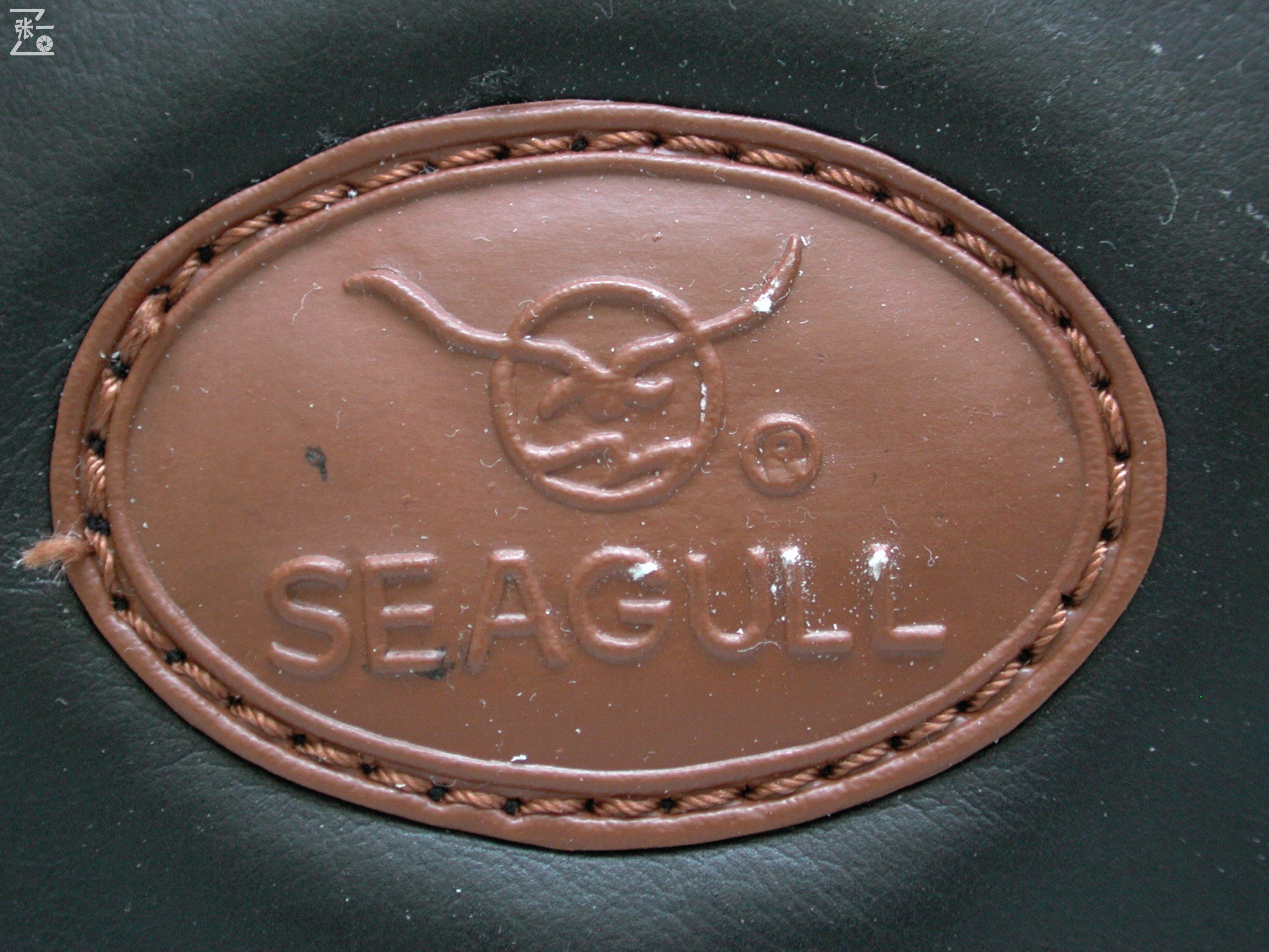 海鸥相机df2000有收藏价值吗,海鸥df-2胶卷单反照相机