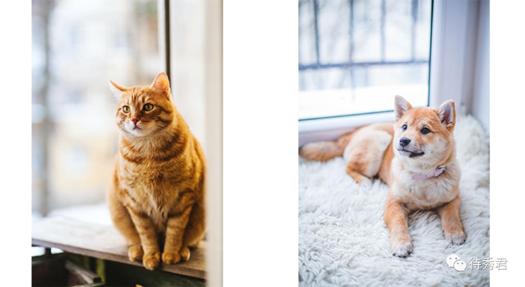 关于实木的知识,购买实木家具的惊人内幕