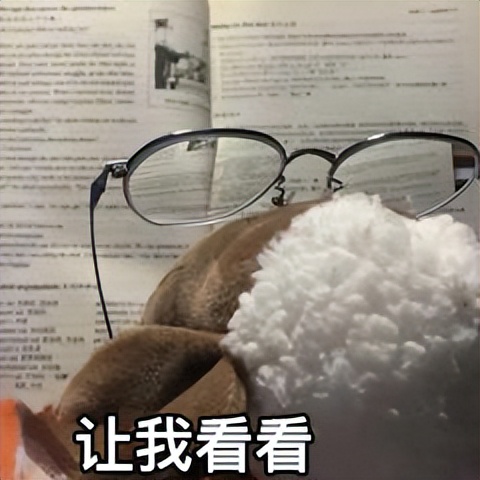 儿童电动牙刷避坑,欧乐b电动牙刷8000和9000的区别