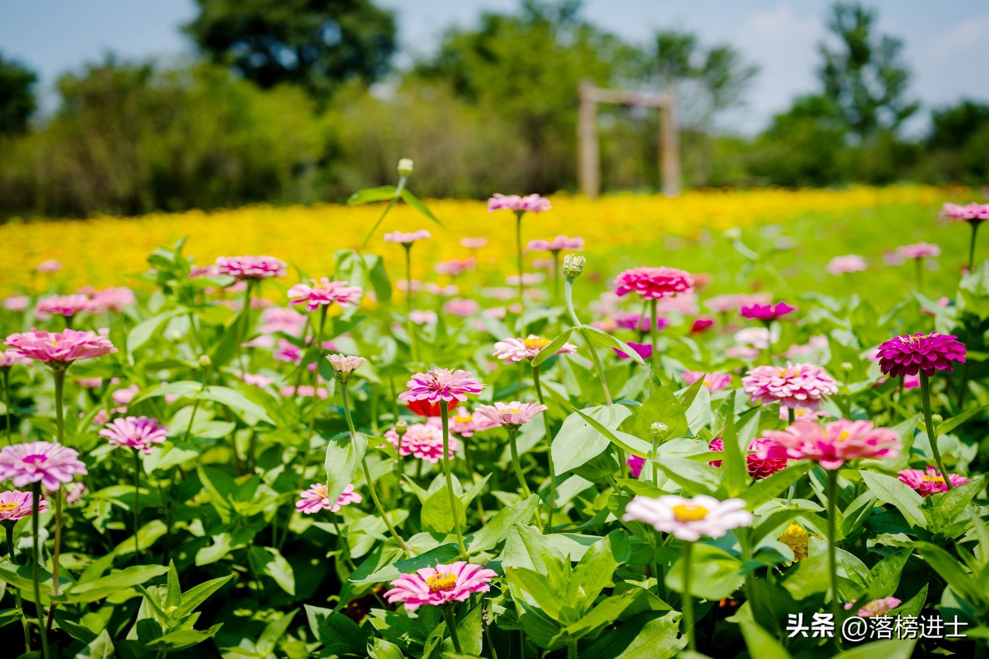 济宁微山湖旅游指南图高清,济宁微山湖包括哪几个湖
