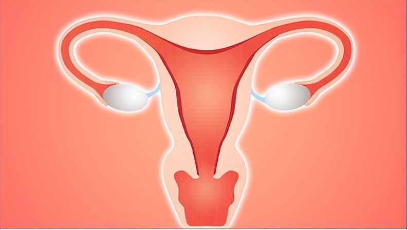 女性切除子宫会对卵巢有影响吗,女性切除子宫影响月经还是生育