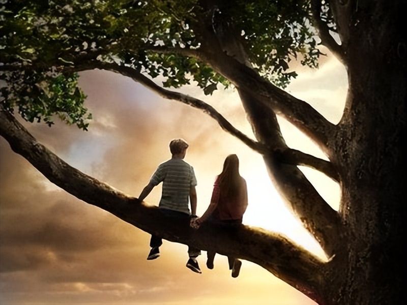 情人节情侣们必看的十种电影,情人节复盘十部高分爱情电影