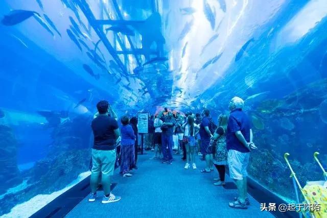 迪拜真实现状图片欣赏,迪拜真实情况视频