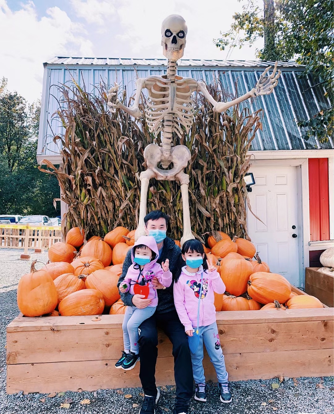 85后Lisa在加拿大：和老公打拼10年，生3娃买3套房，送两娃上私校