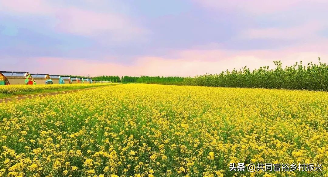 2019你不能错过的致富好项目,2023年是党的20大开局之年