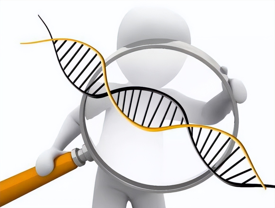 头发白吃什么变黑发最有效,长白头发要吃什么滋补品