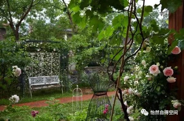 美国逃税100多万是什么后果,美国税交得多有什么福利