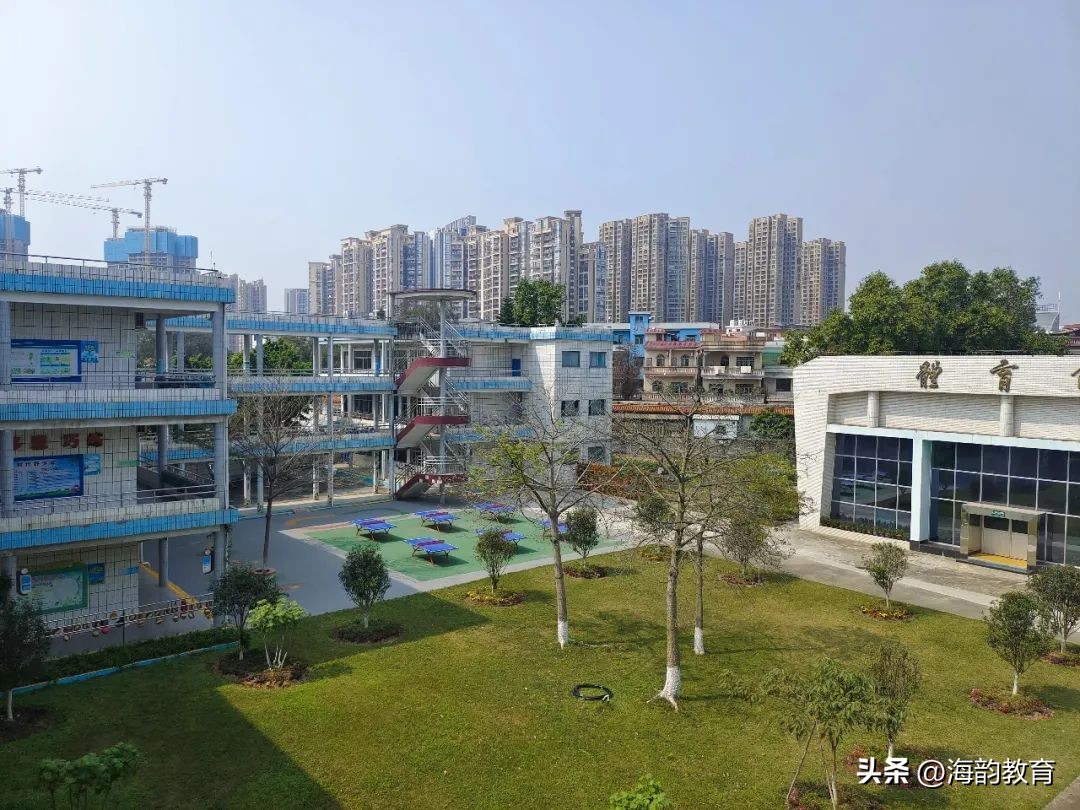 顺德数学之窗丨陈村南涌小学卢翠杭老师《图形分类》课例分享