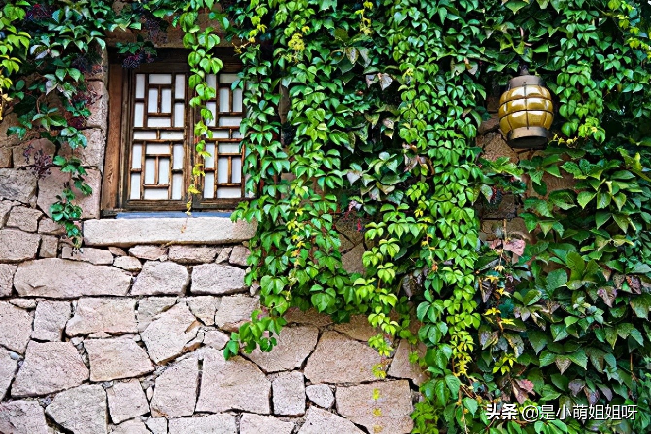 低门槛的互联网创业可以做吗,当下互联网时代的低成本创业思路