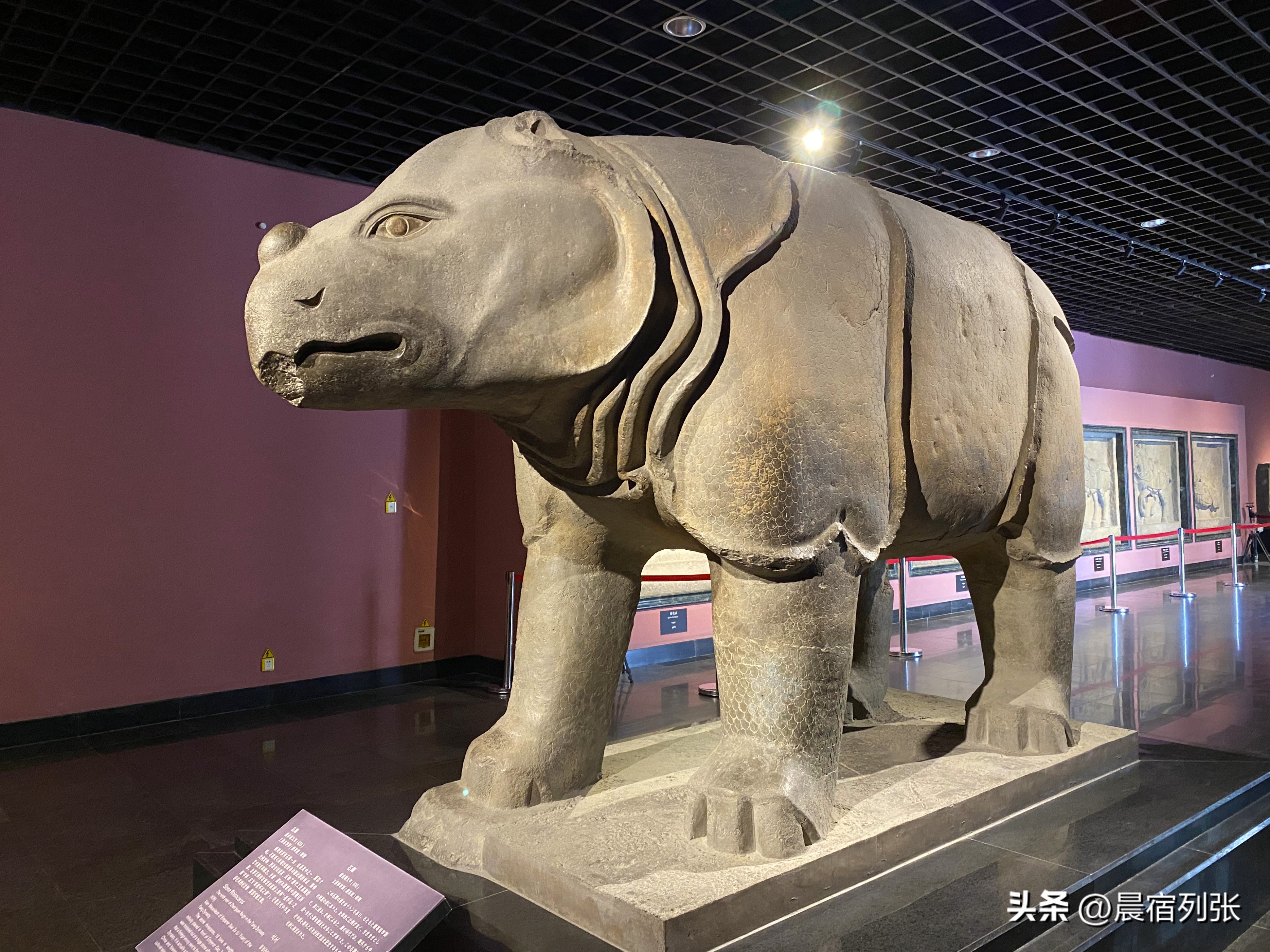 西安哪些不可错过的景点,西安不能错过的打卡地点