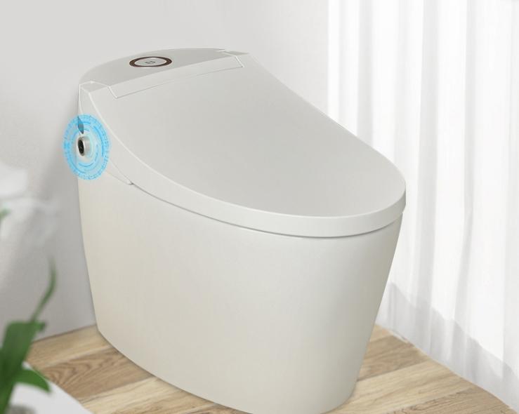 智能马桶哪个品牌好一些及价格,智能马桶品牌性价比推荐