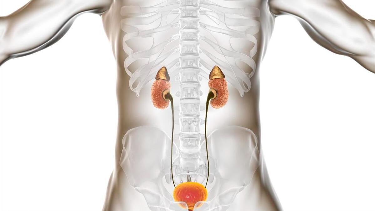 治咳有何方法,止咳的土办法有什么