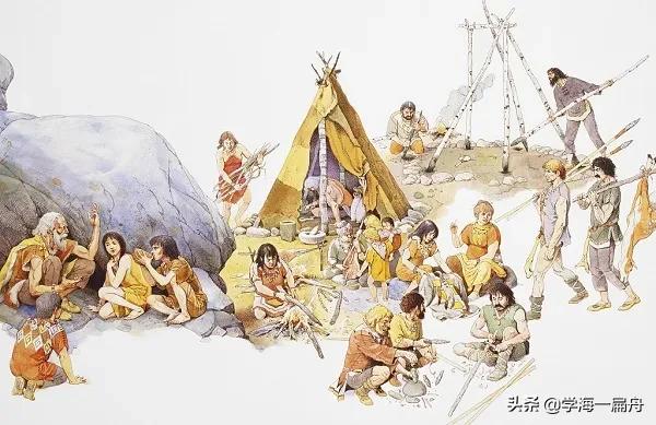 鐙楃箒琛嶆柟寮忎笌鐗圭偣,鐙楃箒琛嶆柟寮忔湁鍝簺