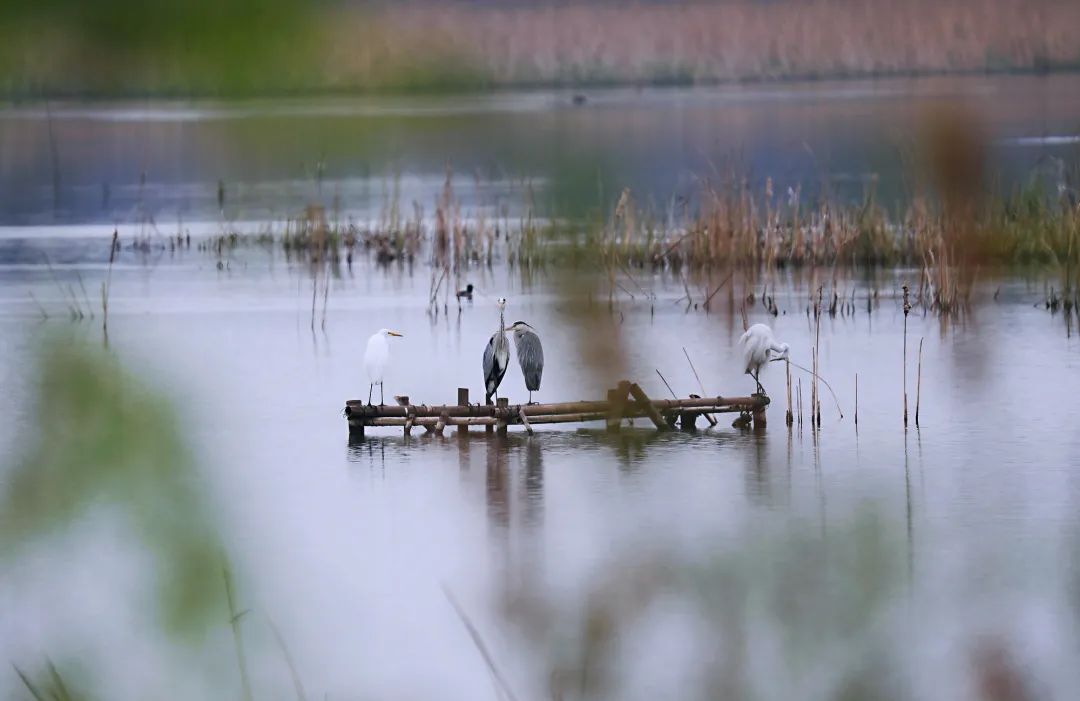 六一带孩子出游推荐,六一带孩子去哪儿玩