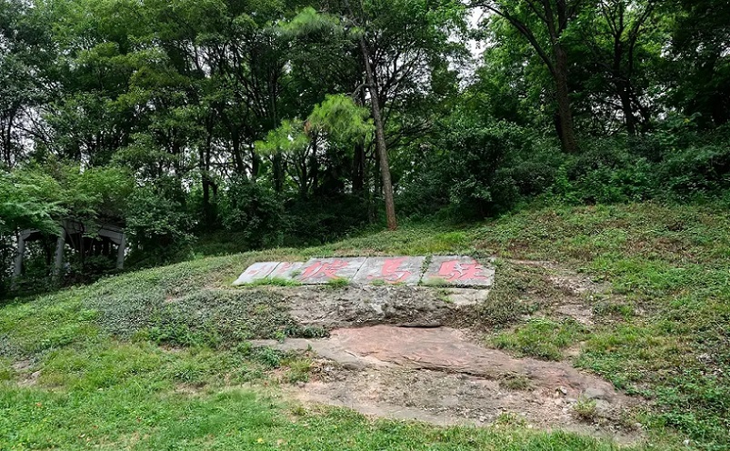 南京栖霞区免费游玩景点推荐,南京一百个免费景点