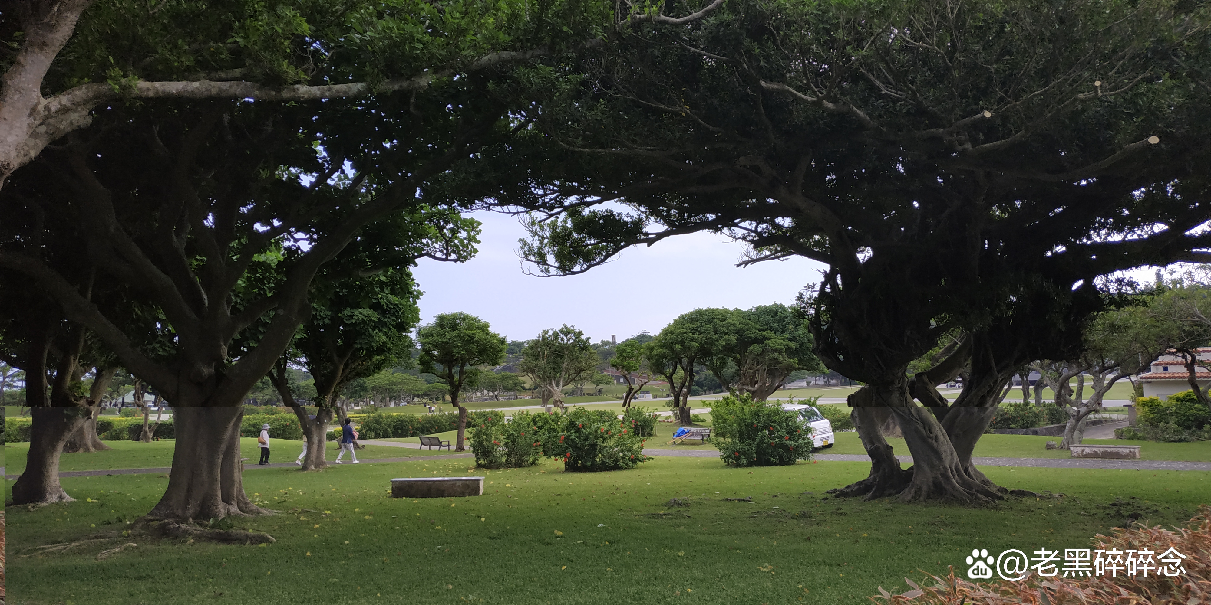 冲绳旅游租车,日本冲绳租车