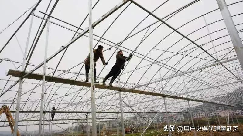 贺嘉伟接好“班”种好“田”