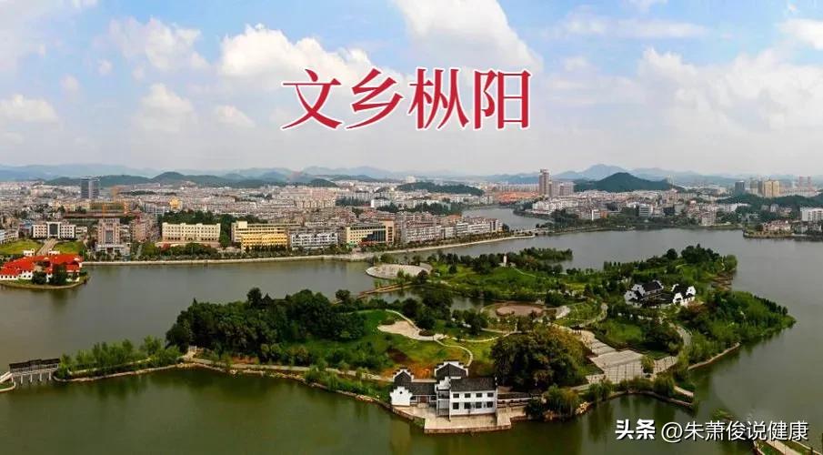 从安徽铜陵枞阳走出来的中科院院士，有这样一位著名精神心理学家