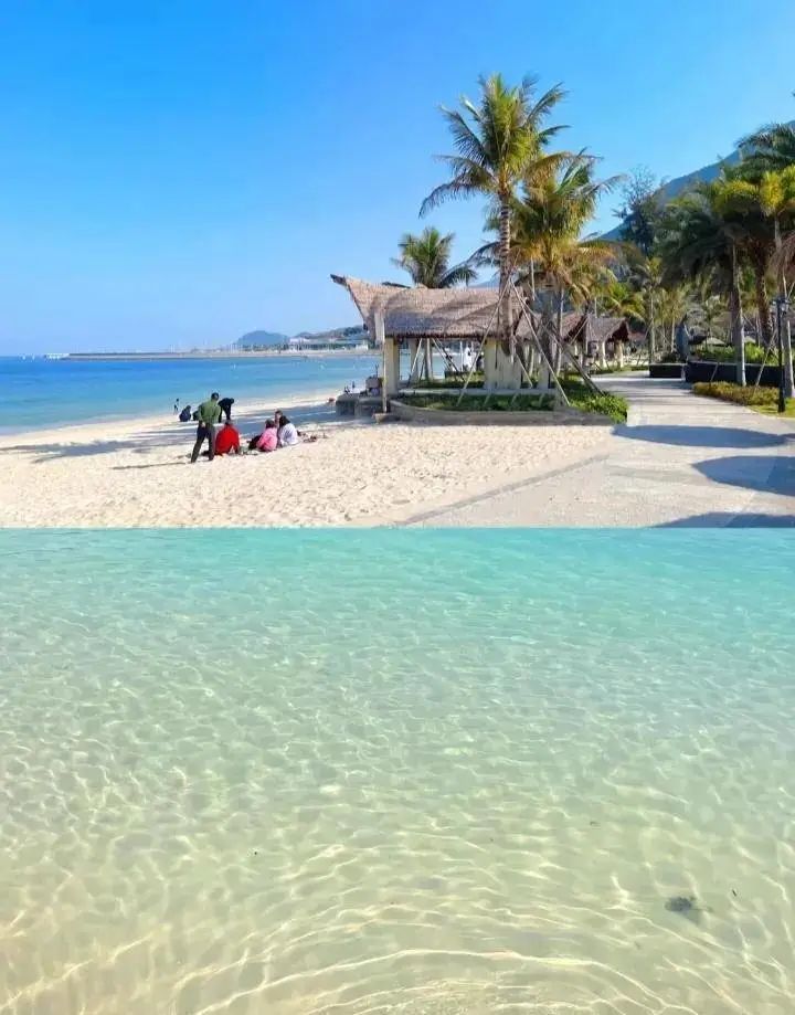 深圳市荔枝公园一日游,深圳2天1夜旅行攻略