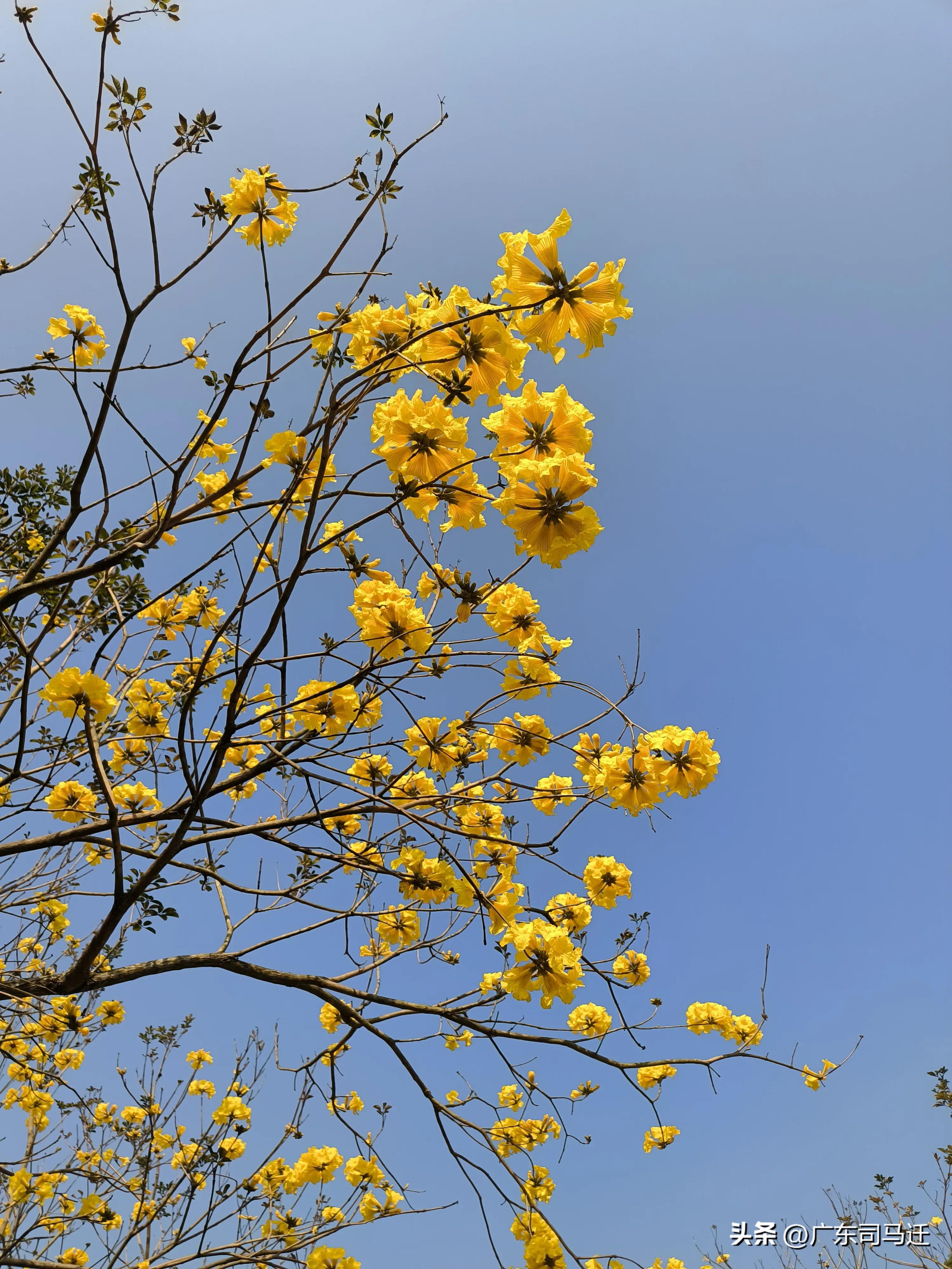 好玩的中山公园,中山公园这儿真美