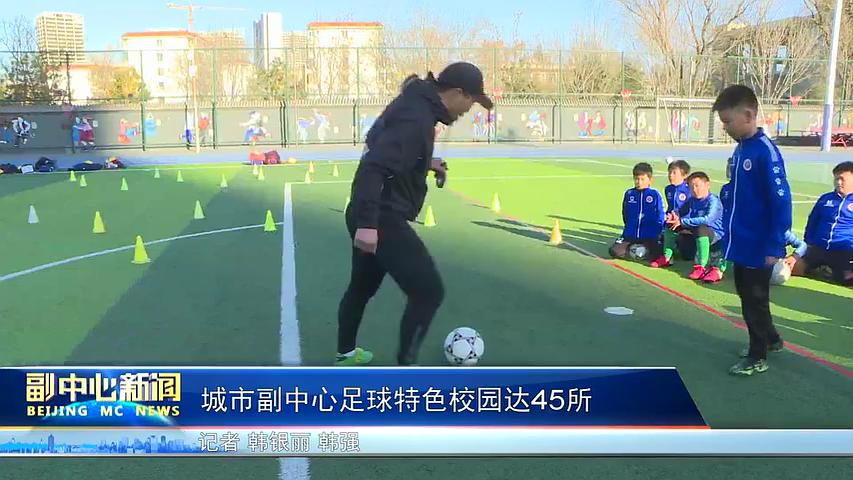 城市副中心学校,城市副中心体育中心