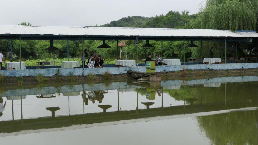 小农场盈利模式,50亩以内的小农场如何盈利