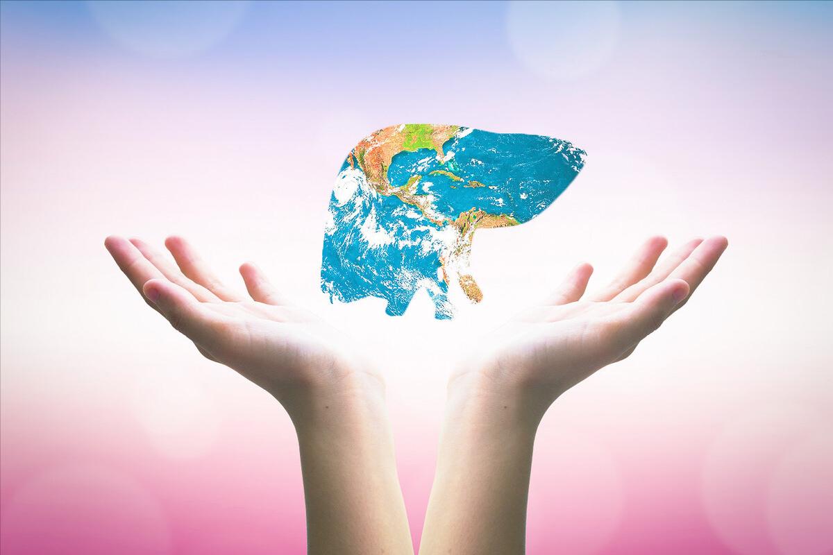 李兰娟院士建议秋季养肝护肝,养肝护肝的9道家常菜窍门