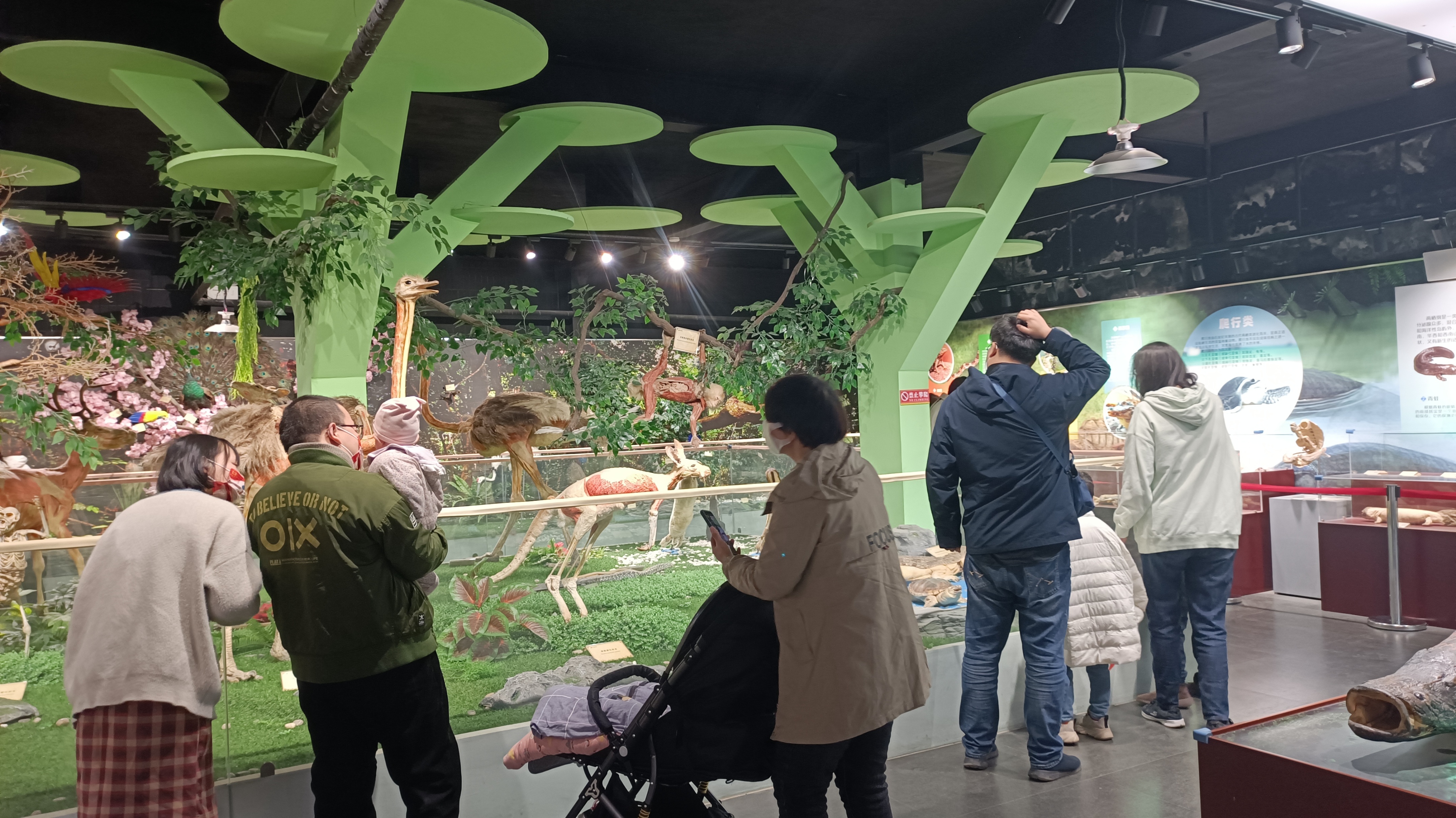 郑州春天去哪里旅游,郑州周边适合春天去的地方