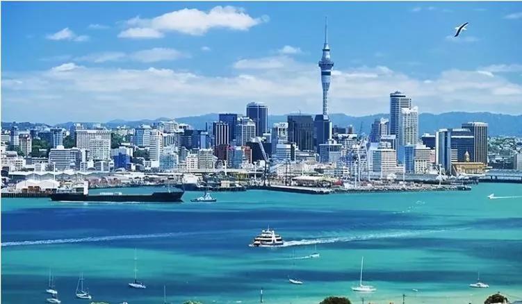 新西兰是个怎样的国家？20个知识点带你走进新西兰