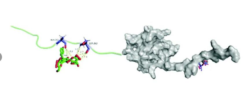 红花油有什么妙用,红花油的成分有红花吗