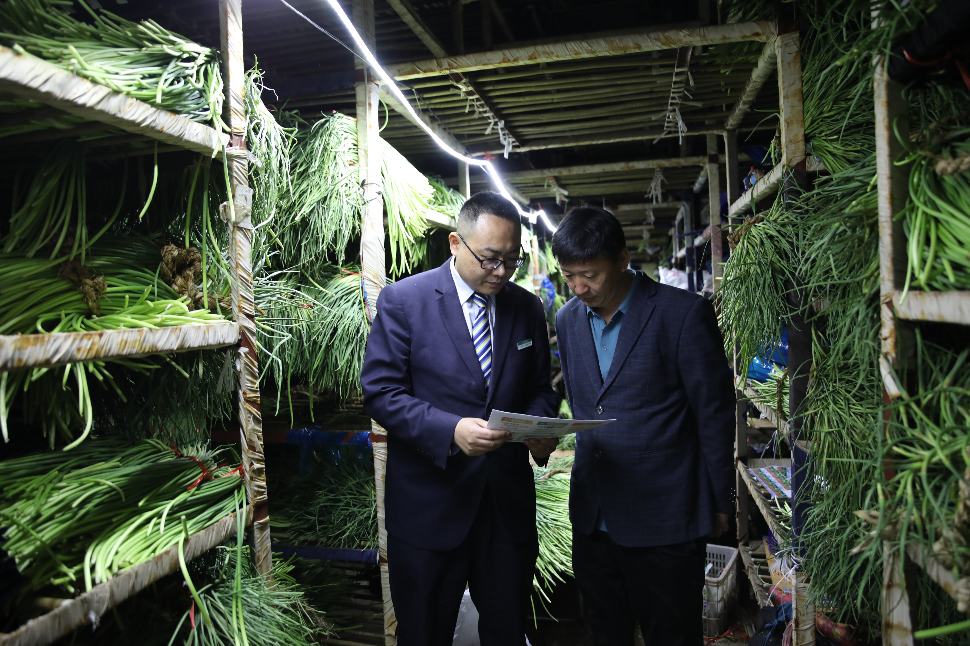 农商银行特色农业产业贷款,邮储银行乡村振兴助农贷款简报