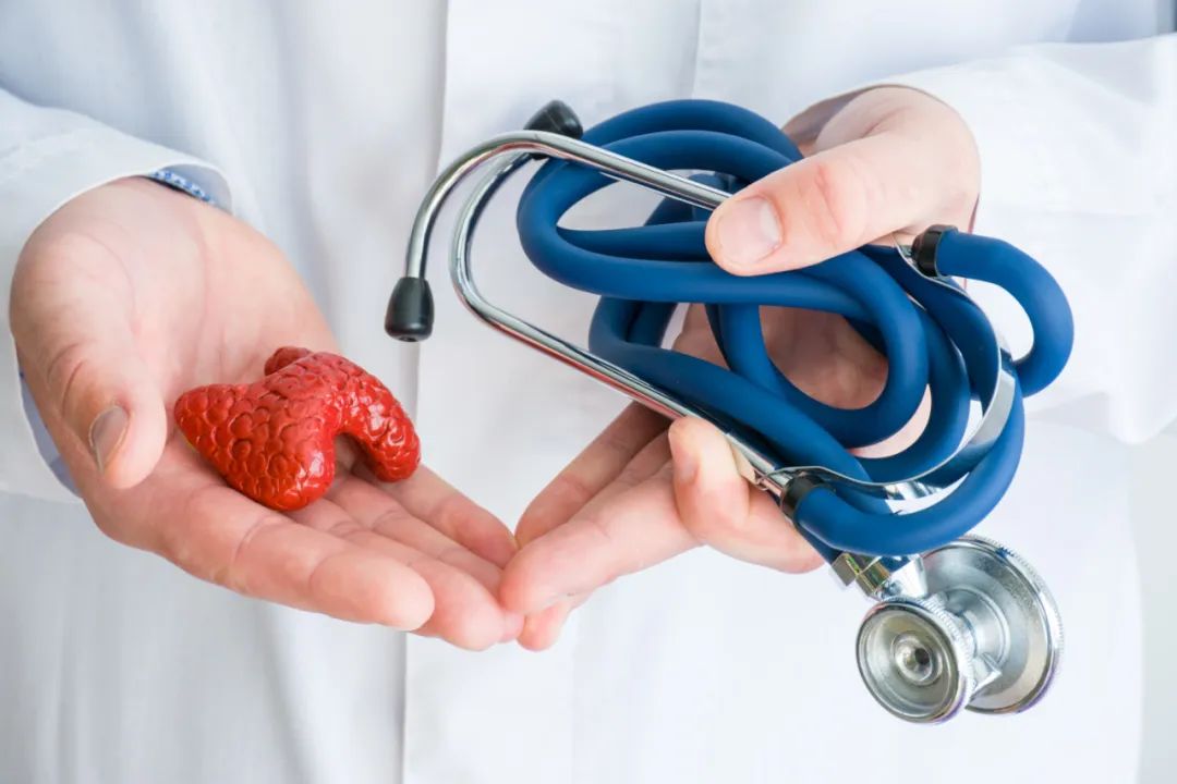 甲状腺结节心跳加速心慌的原因,甲状腺什么症状引起心率快