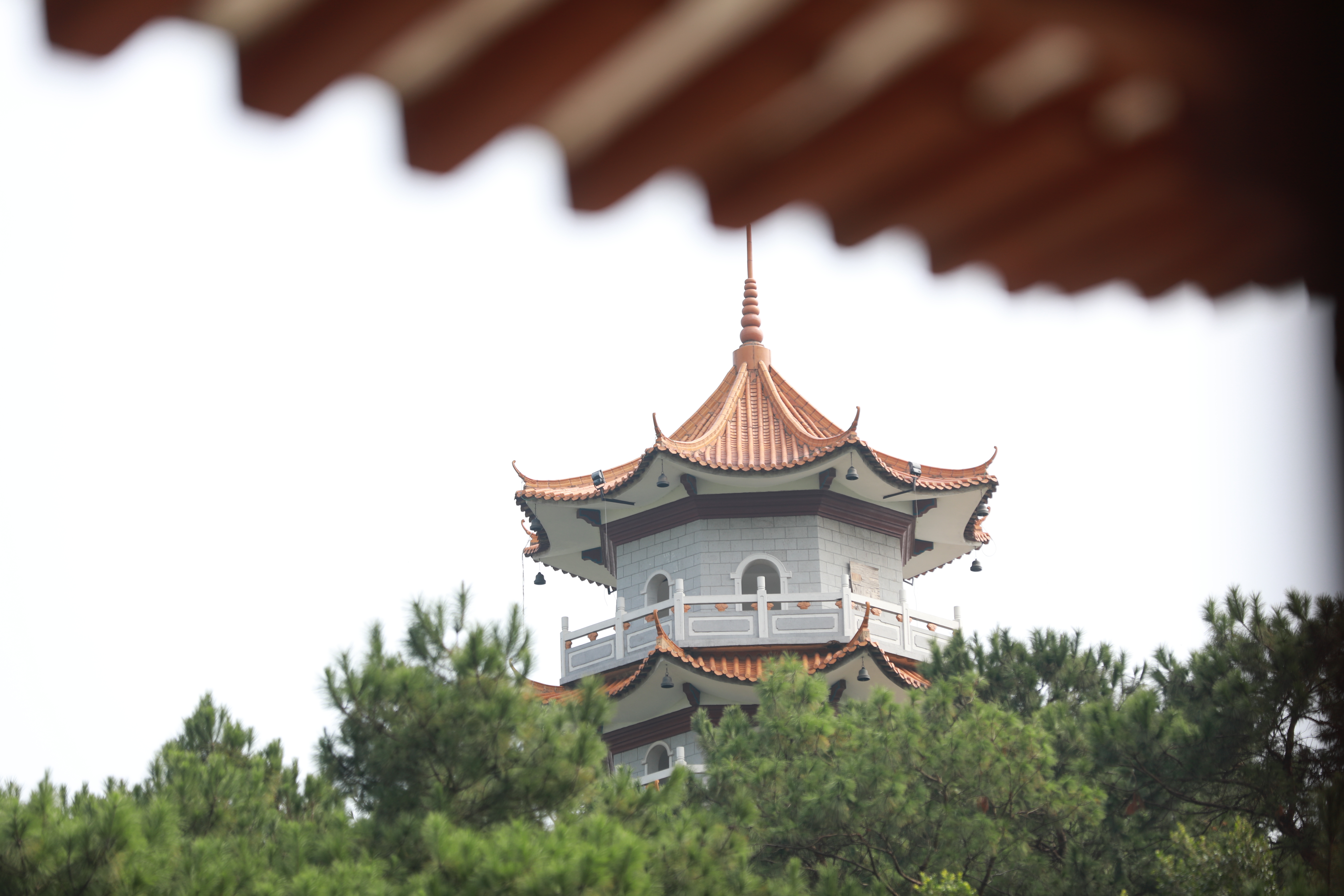 鐢靛奖鑽掑矝宸ㄨ煉鎷嶆憚鑺辩诞,鑽掑矝宸ㄨ煉鍦ㄥ摢閲屽彲浠ョ湅