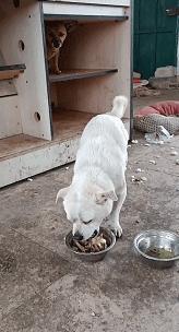 公公给我儿子看病图片,公公陪儿子输液哭了