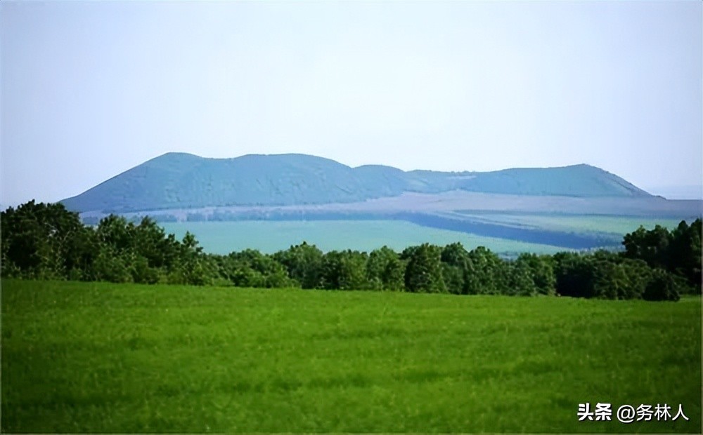 森林植被恢复费征收标准,森林植被恢复费哪个部门征收