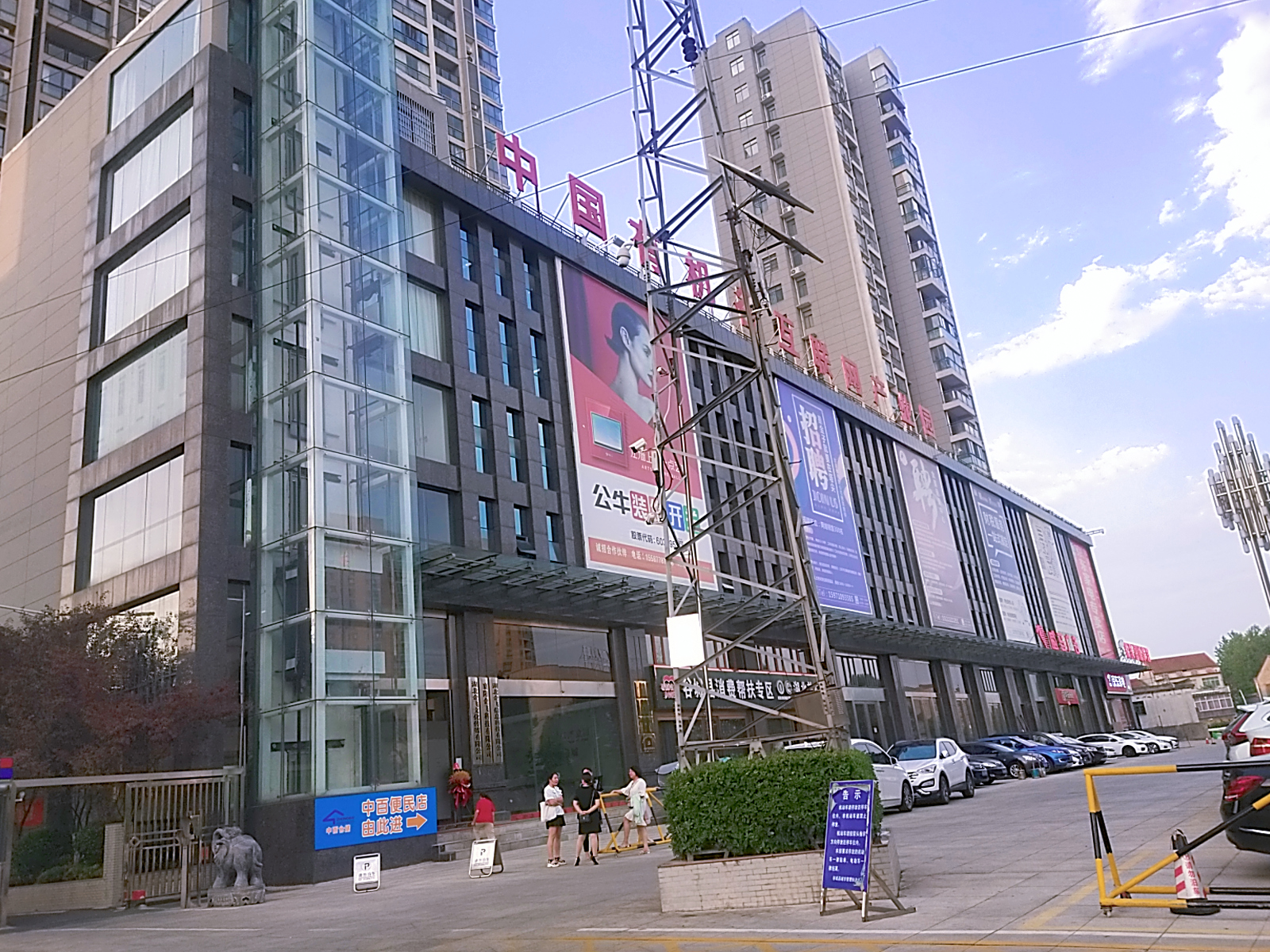 抖音橘猫,抖音涨粉创业