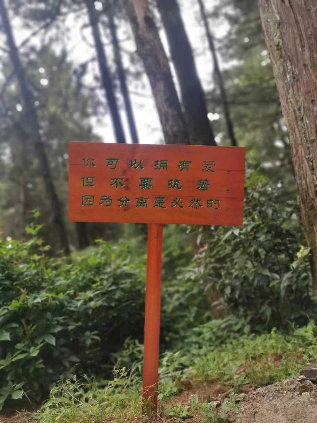 重症监护室抢救的重要性,重症监护室里病人痛苦吗