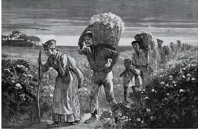 17世纪荷兰殖民情况,17世纪荷兰和英国