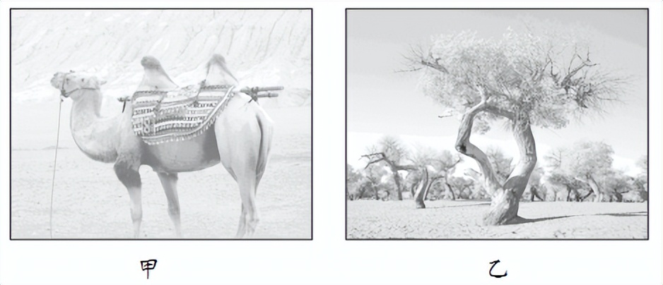 地理大题答题模板高考2023选择题,2024届高考地理选择题刷题推荐