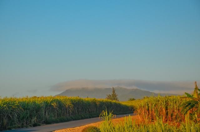非洲的神奇岛屿毛里求斯，遥远的避世天堂，对中国免签